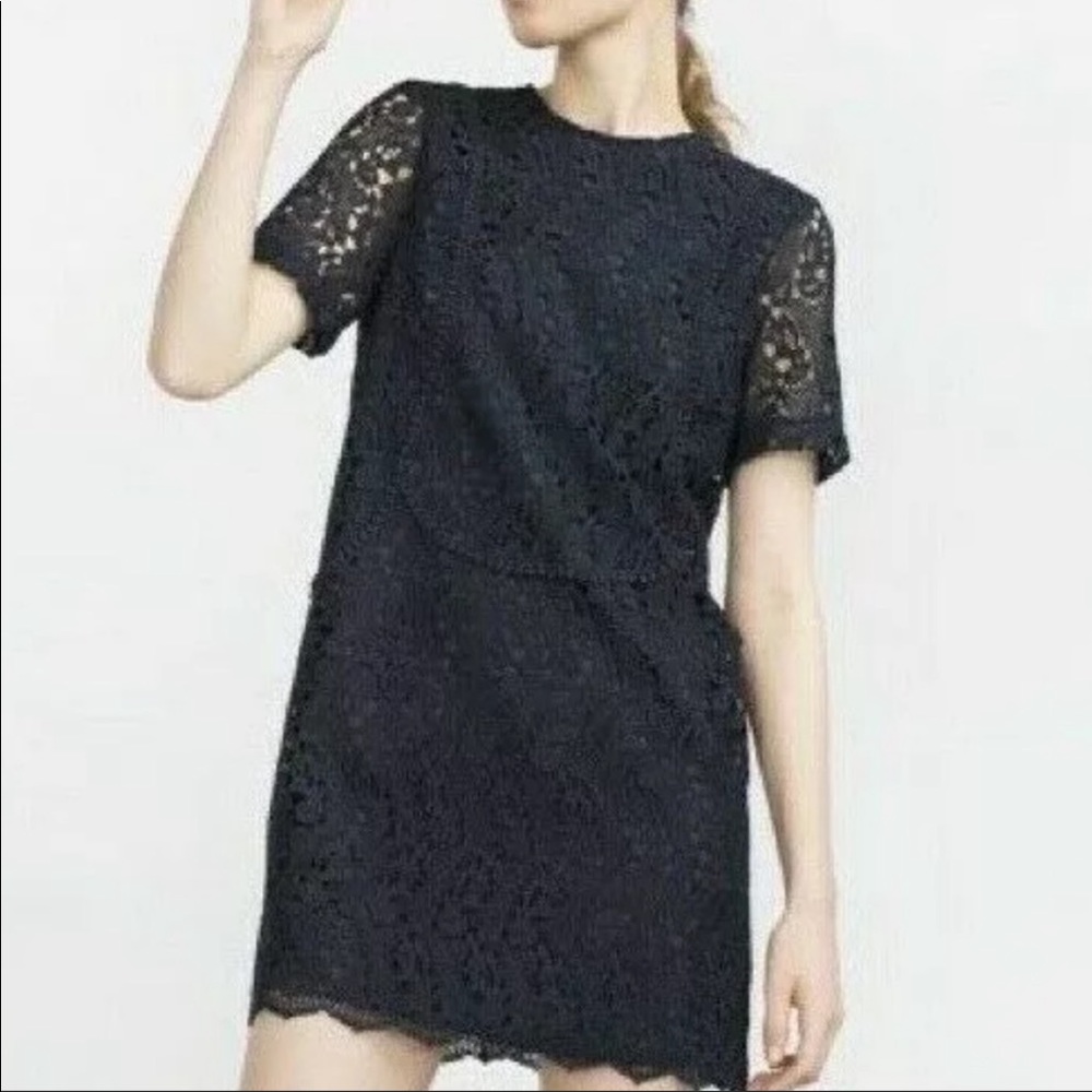 Zara Lace Dress